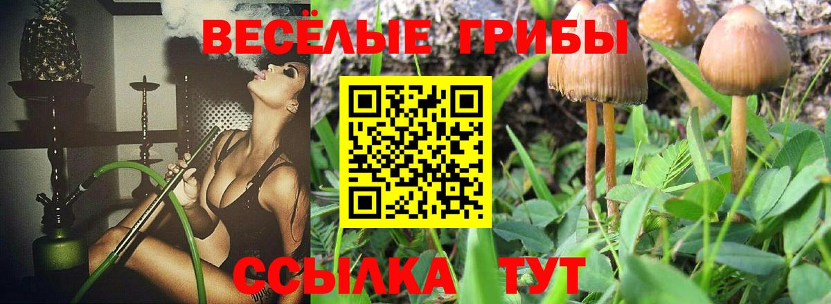 Галлюциногенные грибы Psilocybe  Псилоцибиновые грибы Magic Shrooms  Киржач  Вход с VPN 