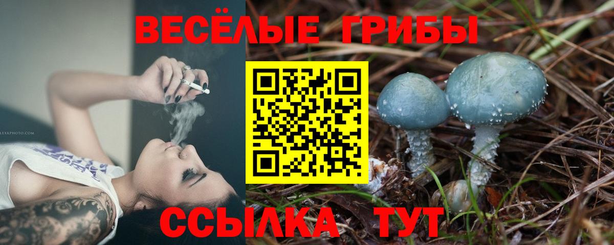 Псилоцибиновые грибы GOLDEN TEACHER Киржач